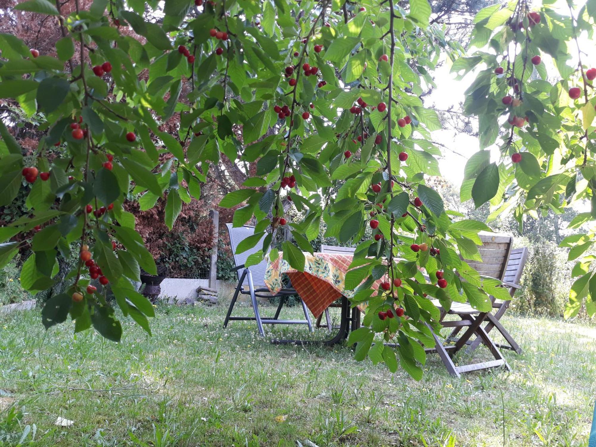 Bed Vue Sur Vallee De La Meuse Namur Bouge Δωμάτιο φωτογραφία